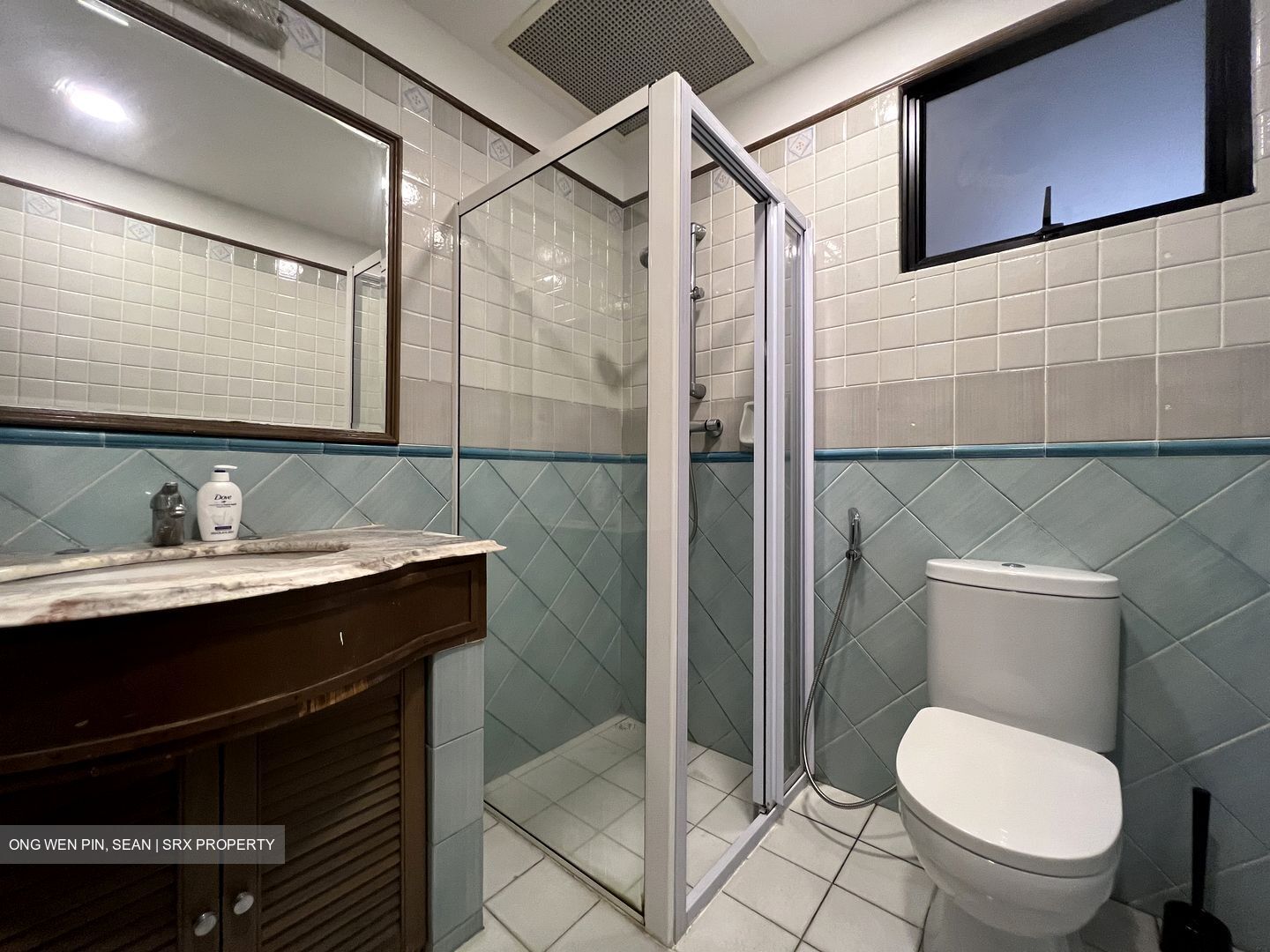 Dover Parkview (D5), Condominium #462920271